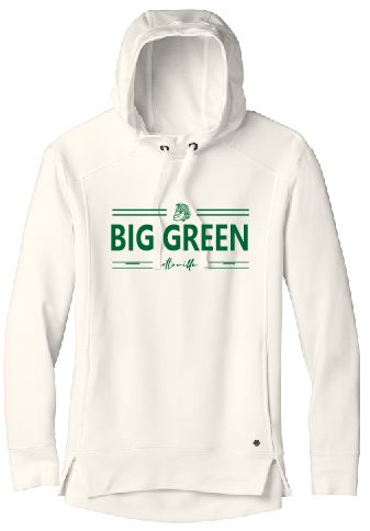 Ladies Hoodie